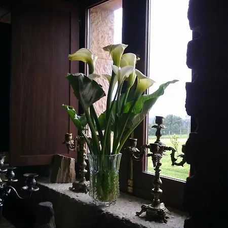 Hotel Casona Gamonales 3*