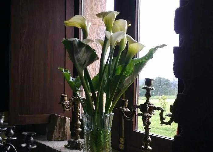 Hotel Casona Gamonales 3*